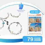 Starfish / Vòng tay sao biển xanh mát phối vỏ ốc